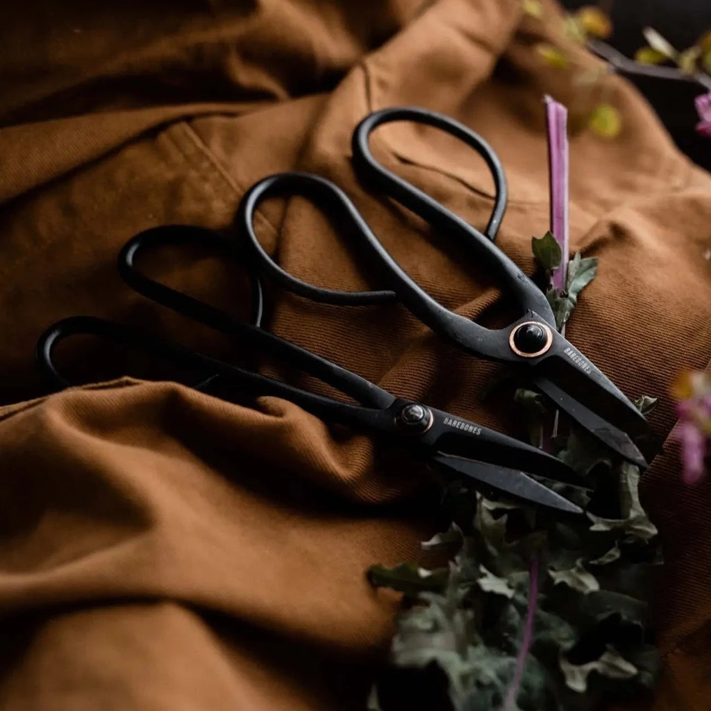 Barebones shears deals